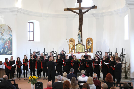 KOMORNI ZBOR FRAN GERBIČ LETNI KONCERT 17 FOTO LJUBO VUKELIČ